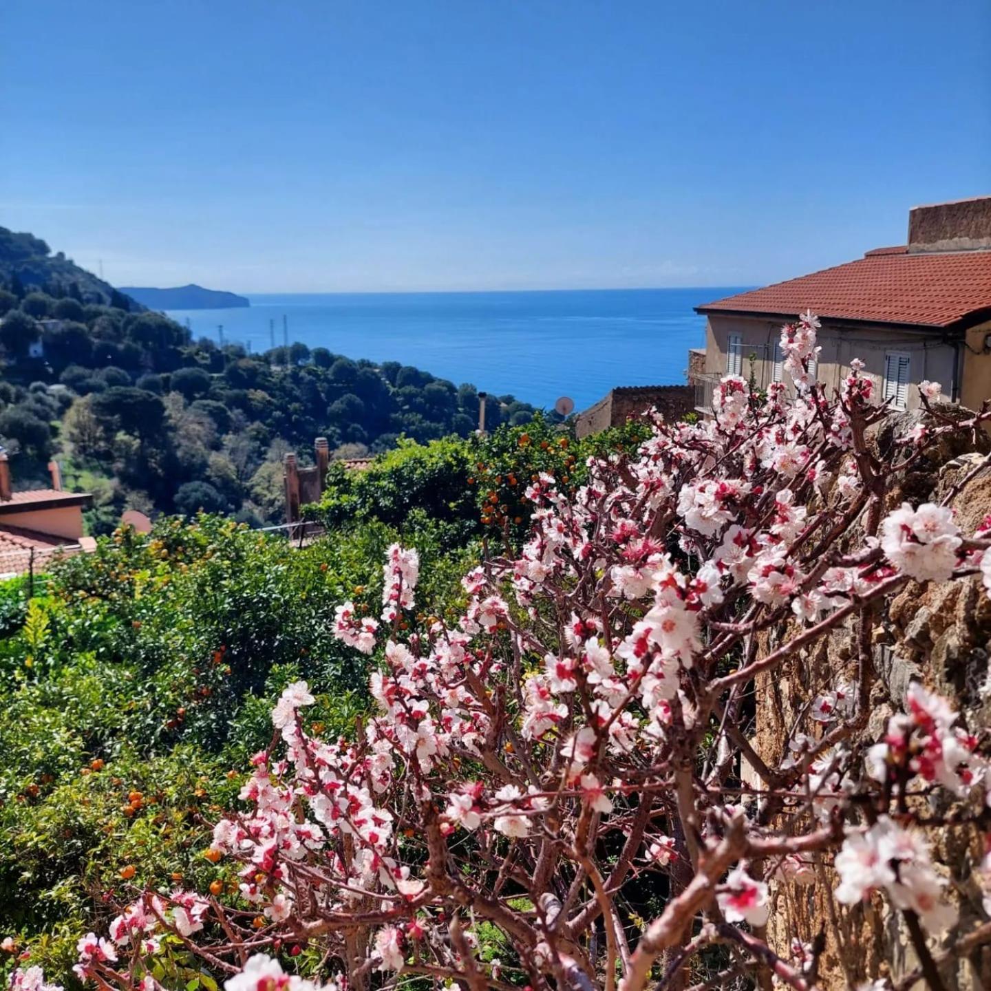 La Casa Sul Blu Albergo Diffuso Пискиота Екстериор снимка